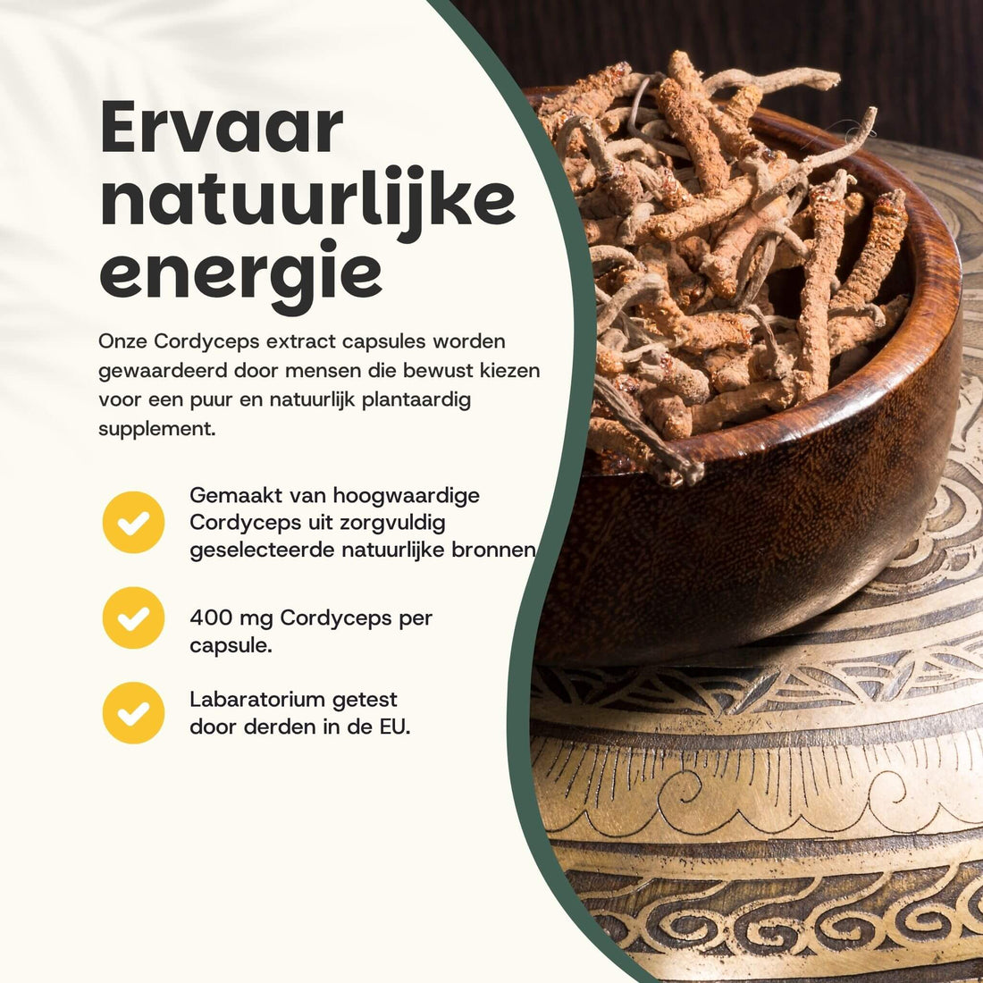 Cordyceps Extract Capsules 400 mg