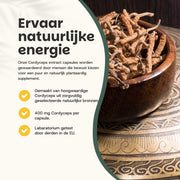 Cordyceps Extract Capsules 400 mg
