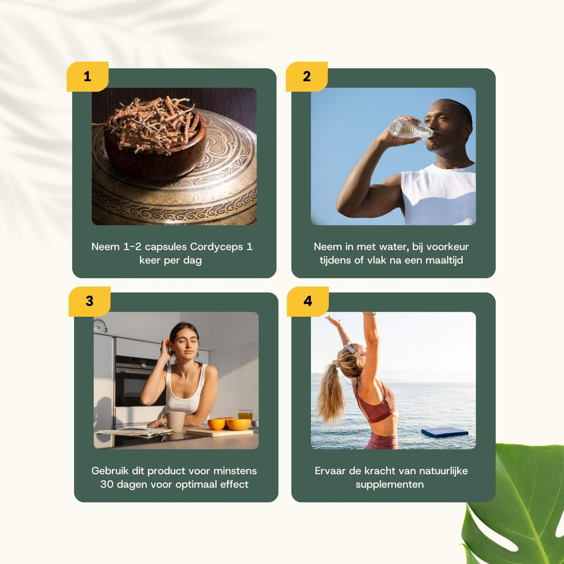Cordyceps Extract Capsules 400 mg