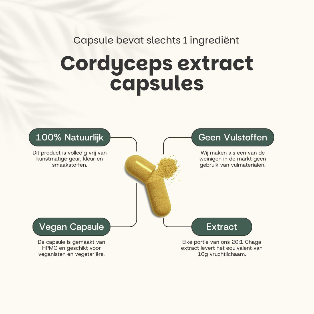 Cordyceps Extract Capsules 400 mg