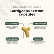 Cordyceps Extract Capsules 400 mg