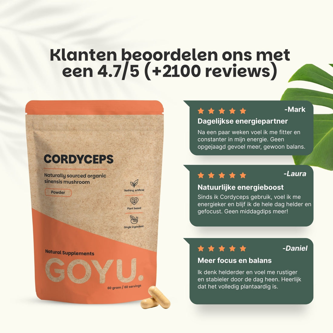 Cordyceps Extract Capsules 400 mg