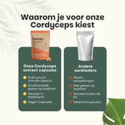 Cordyceps Extract Capsules 400 mg