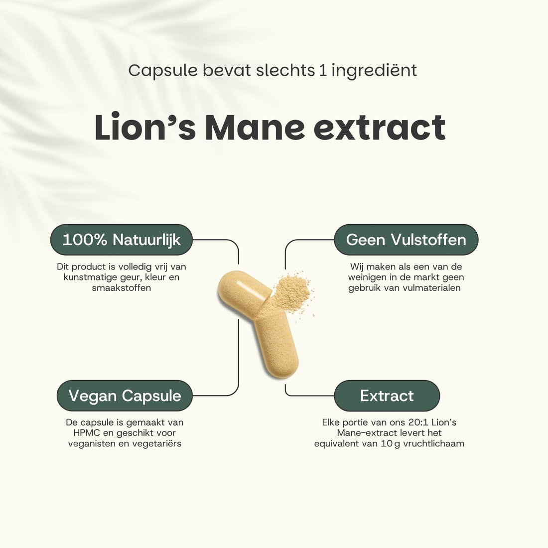 Lion's Mane Extract Capsules 400 mg
