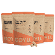 Cordyceps Extract Capsules 400 mg