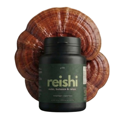 Reishi