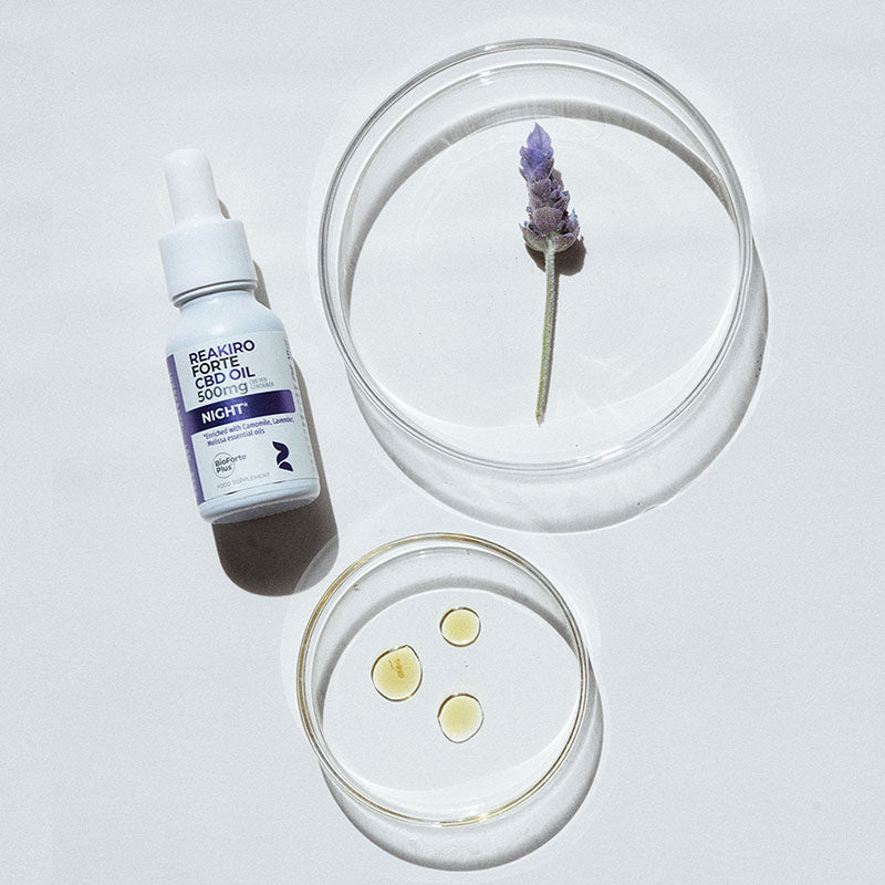 Aceite Nocturno de CBD Forte 500 mg, 15 ml