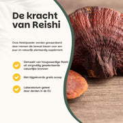 Reishi Extract 400 mg Capsules