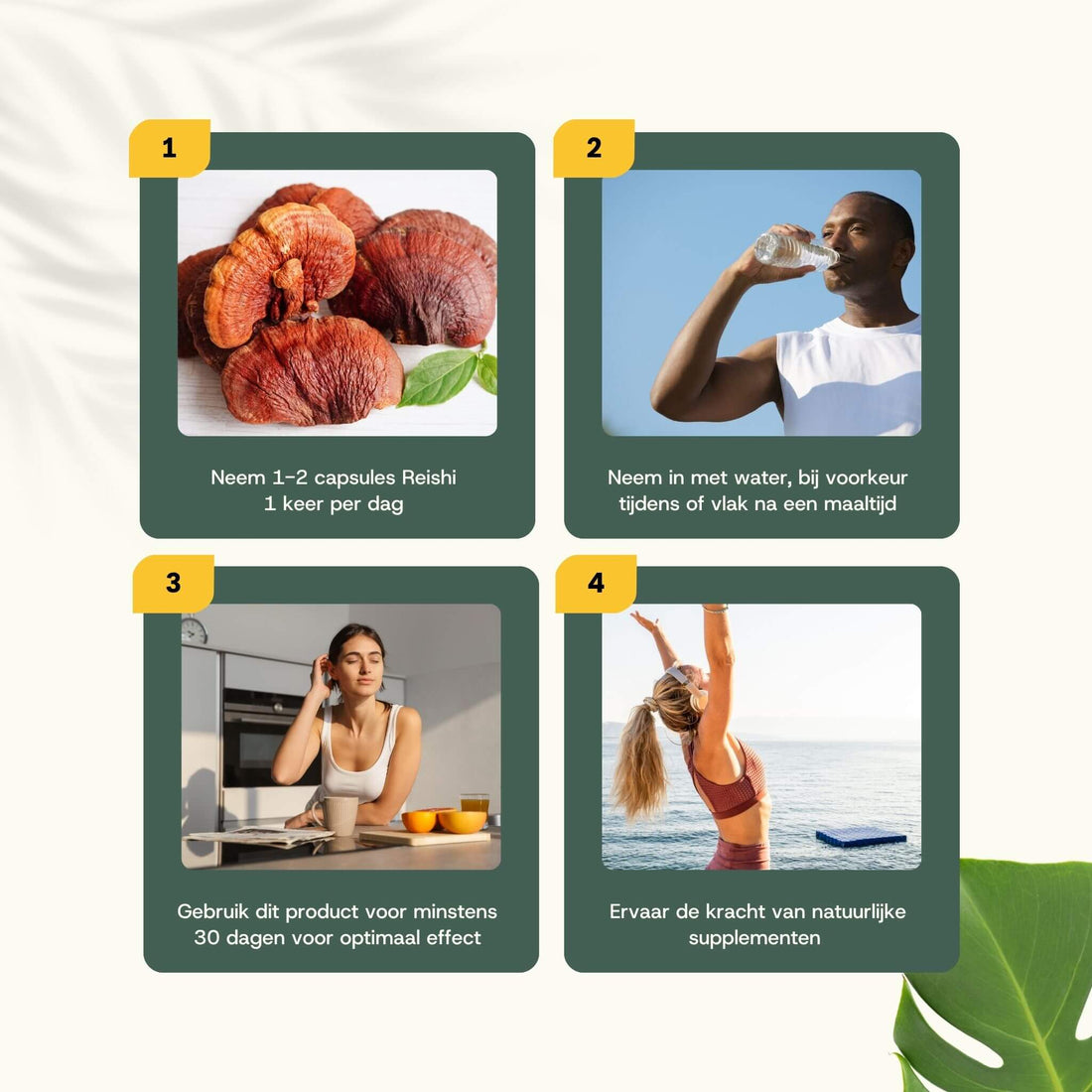Reishi Extract 400 mg Capsules