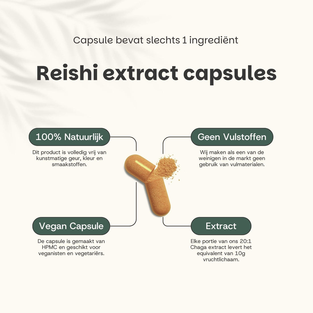 Reishi Extract 400 mg Capsules