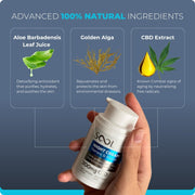 Ingredientes de la crema nocturna de CBD de SOOL