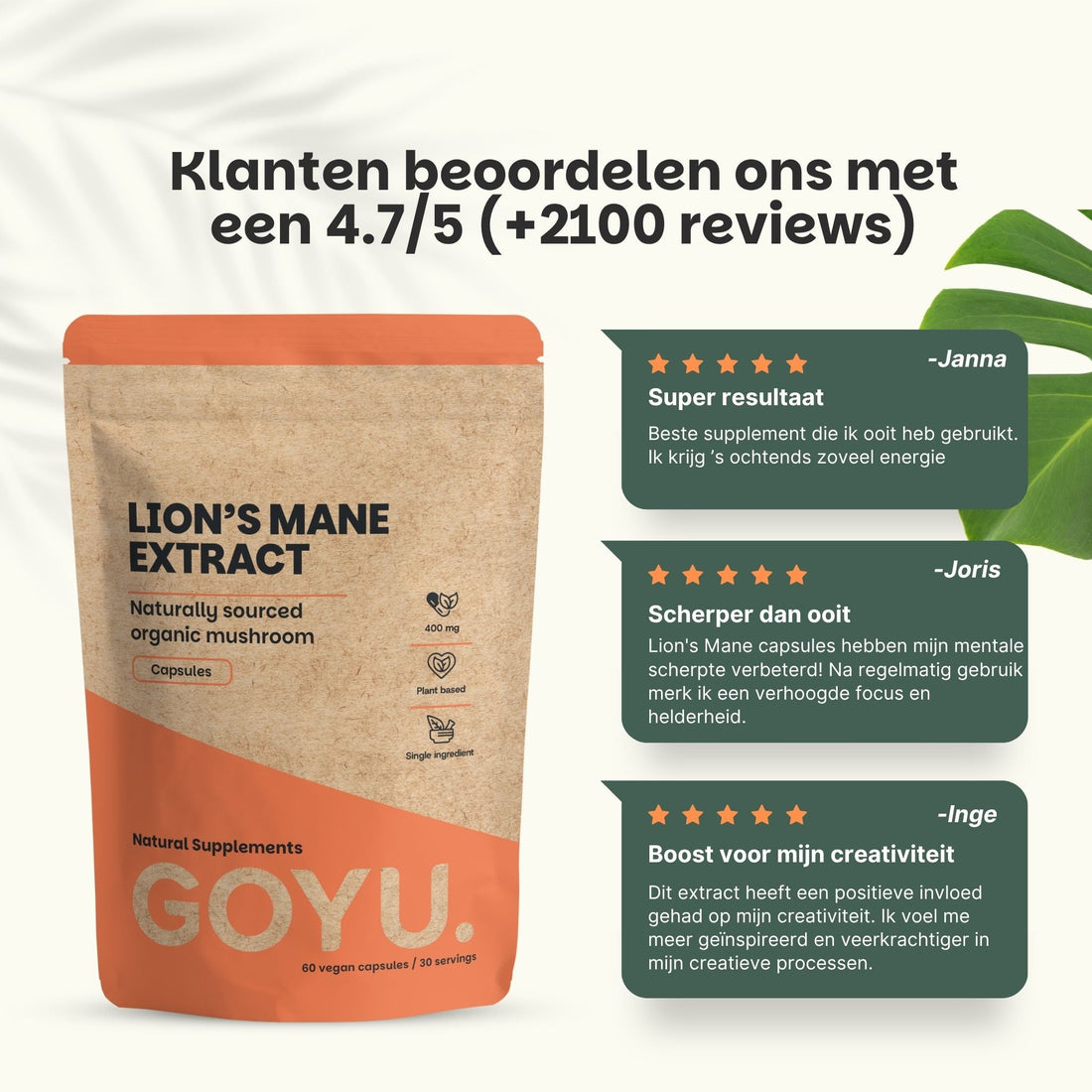 Lion's Mane Extract Capsules 400 mg