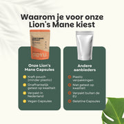 Lion's Mane Extract Capsules 400 mg